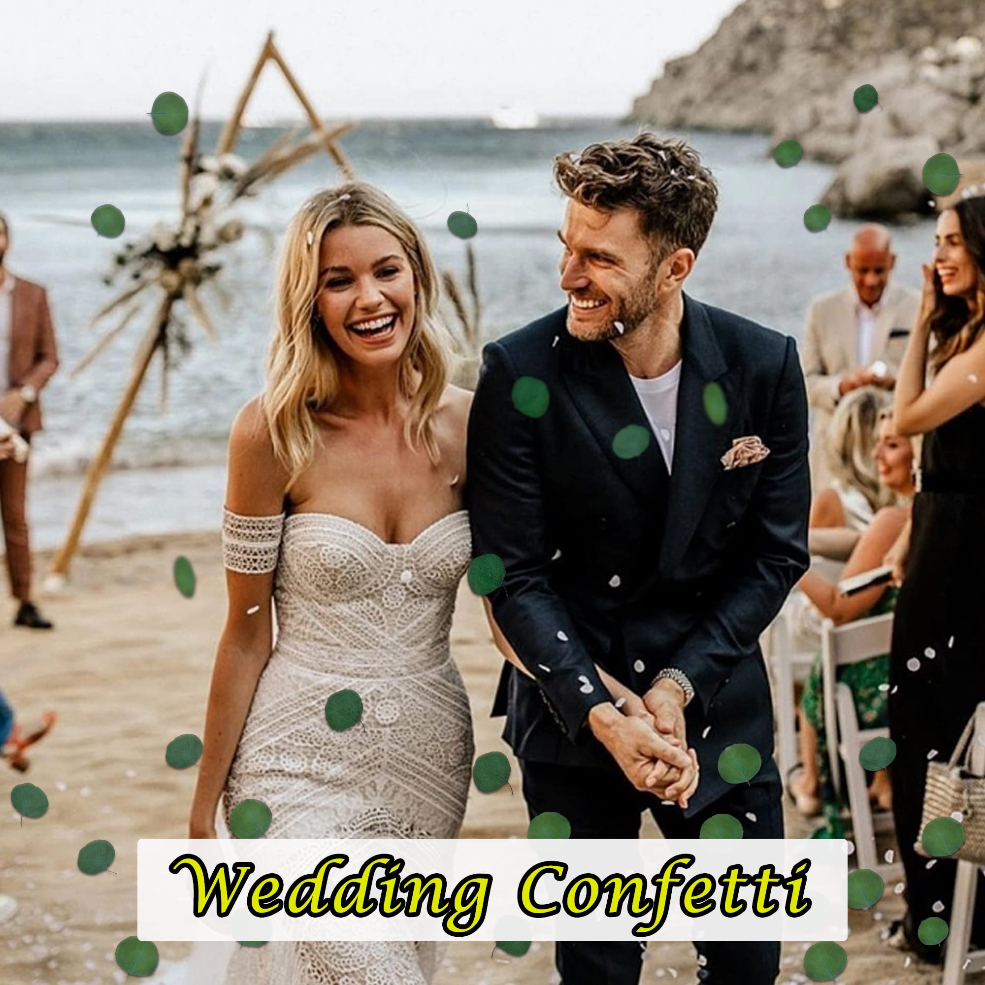 200+ Pcs Natural Dried Eucalyptus Leaves Bulk - 100% Preserved Silver Dollar Green Leaves for Wedding Decor, Flower Girl Basket, Biodegradable Confetti & Baby Shower DIY - Perfect for Rustic Weddings, Boho Home Decor & Eco-Friendly Events