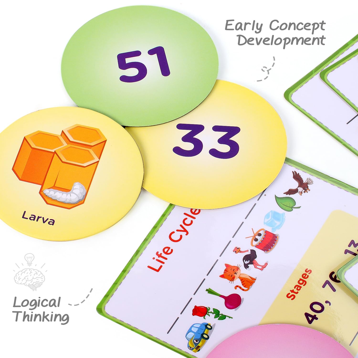 FIRSTCRY INTELLISKILLS Premium 63-Piece Life Cycle Puzzle for Kids - Educational Toy for Learning 12 Birds, Insects & Animals Life Cycles - Montessori Preschool Learning Game for Boys & Girls Ages 3+ | Perfect for Homeschooling, Classroom Activities & Birthday Gifts