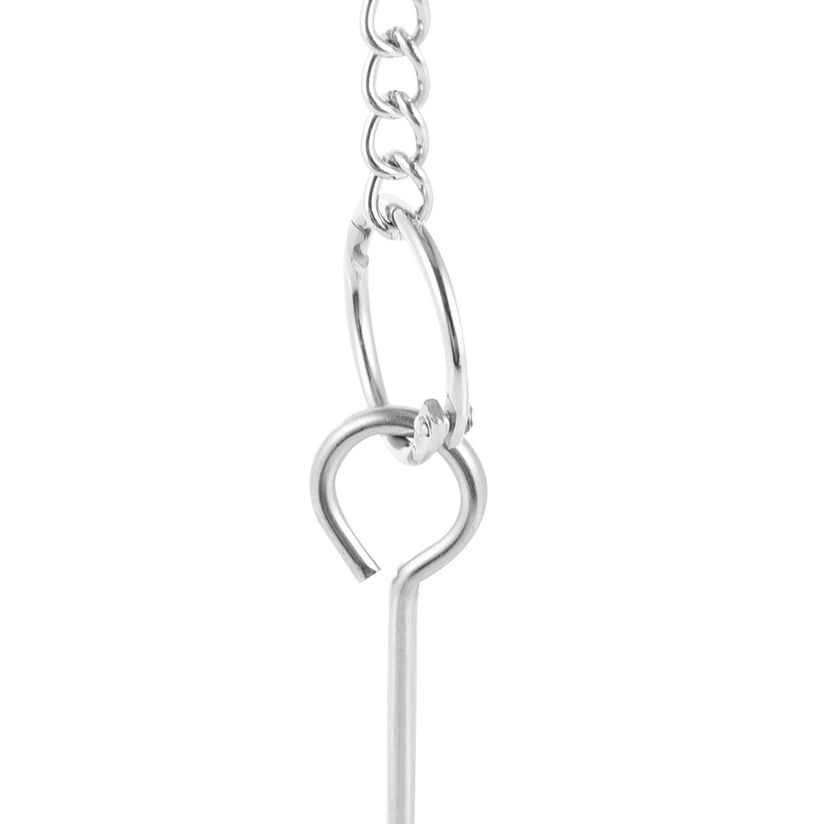 Stainless Steel Parrot Fruit & Vegetable Fork Toy - Bird Feeder Skewer with Tray for Small Birds, Treat Holder for Cockatiels, Lovebirds, Parakeets - Perfect for Cage Enrichment & Healthy Snacking