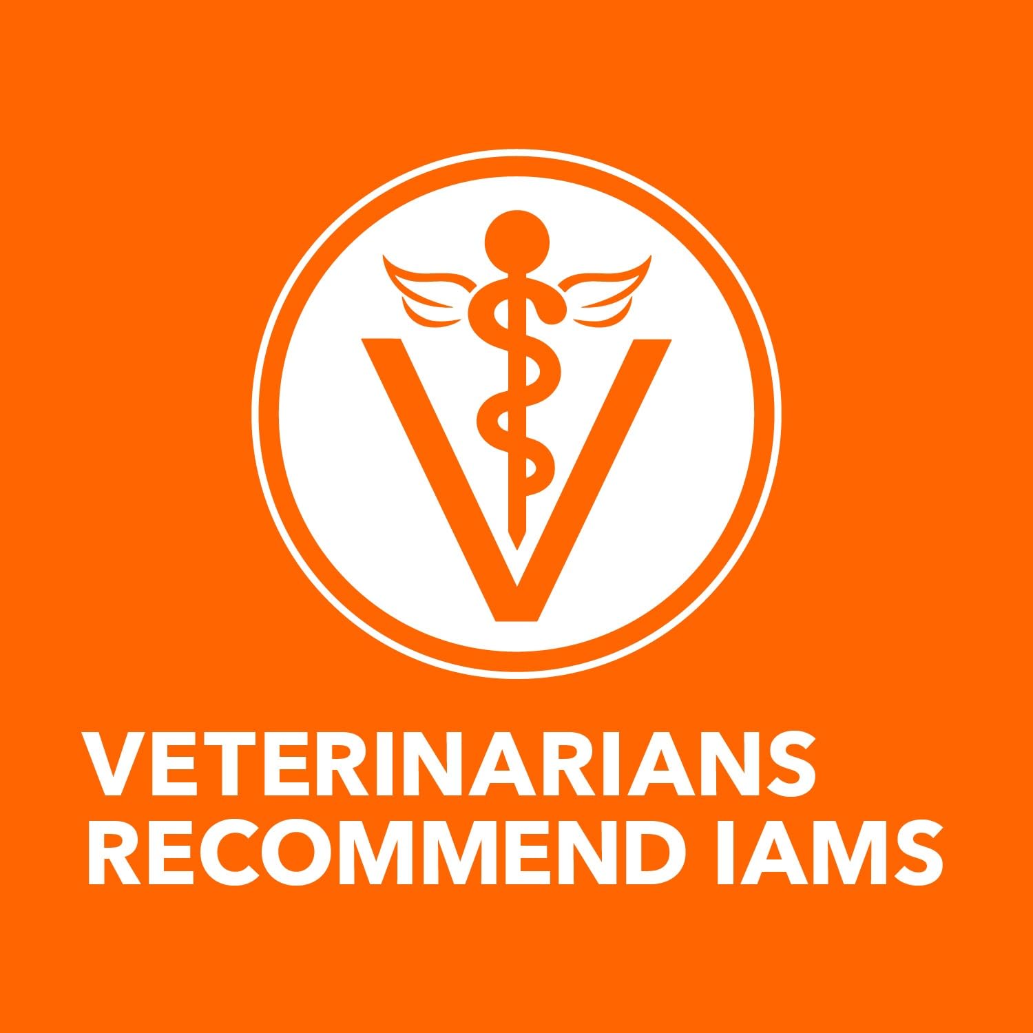 IAMS PROACTIVE HEALTH Adult Dry Cat Food for Senior Cats - Chicken Recipe, 16lb Bag | Supports Joint Health & Digestion for Aging Cats - Perfect for Indoor Senior Cats & Mature Feline Nutrition