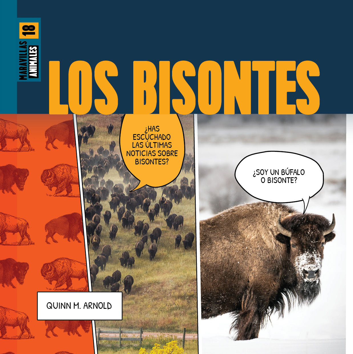 Premium Bison Meat - Organic, Grass-Fed Bison Steaks & Ground Meat for Healthy Cooking | Perfect for Grilling, BBQ, and Keto/Paleo Diets