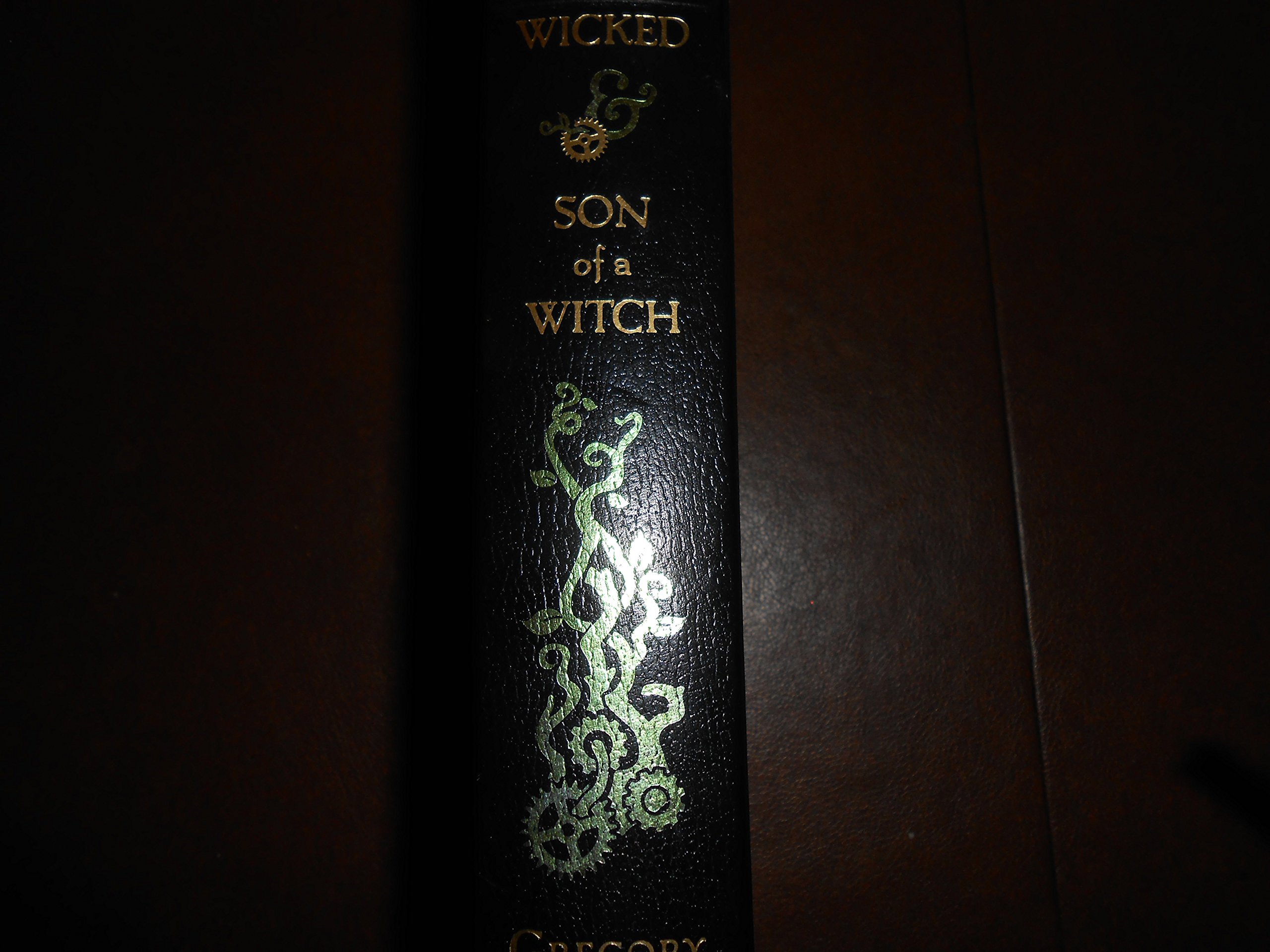 Wicked: The Life and Times of the Wicked Witch of the West | Son of a Witch Novel | Fantasy Book Series | Perfect for Book Clubs & Fantasy Readers