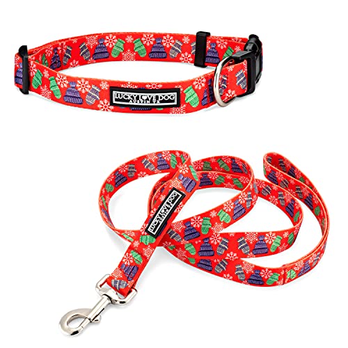 Chilly Dog Collar/ Leash Combo