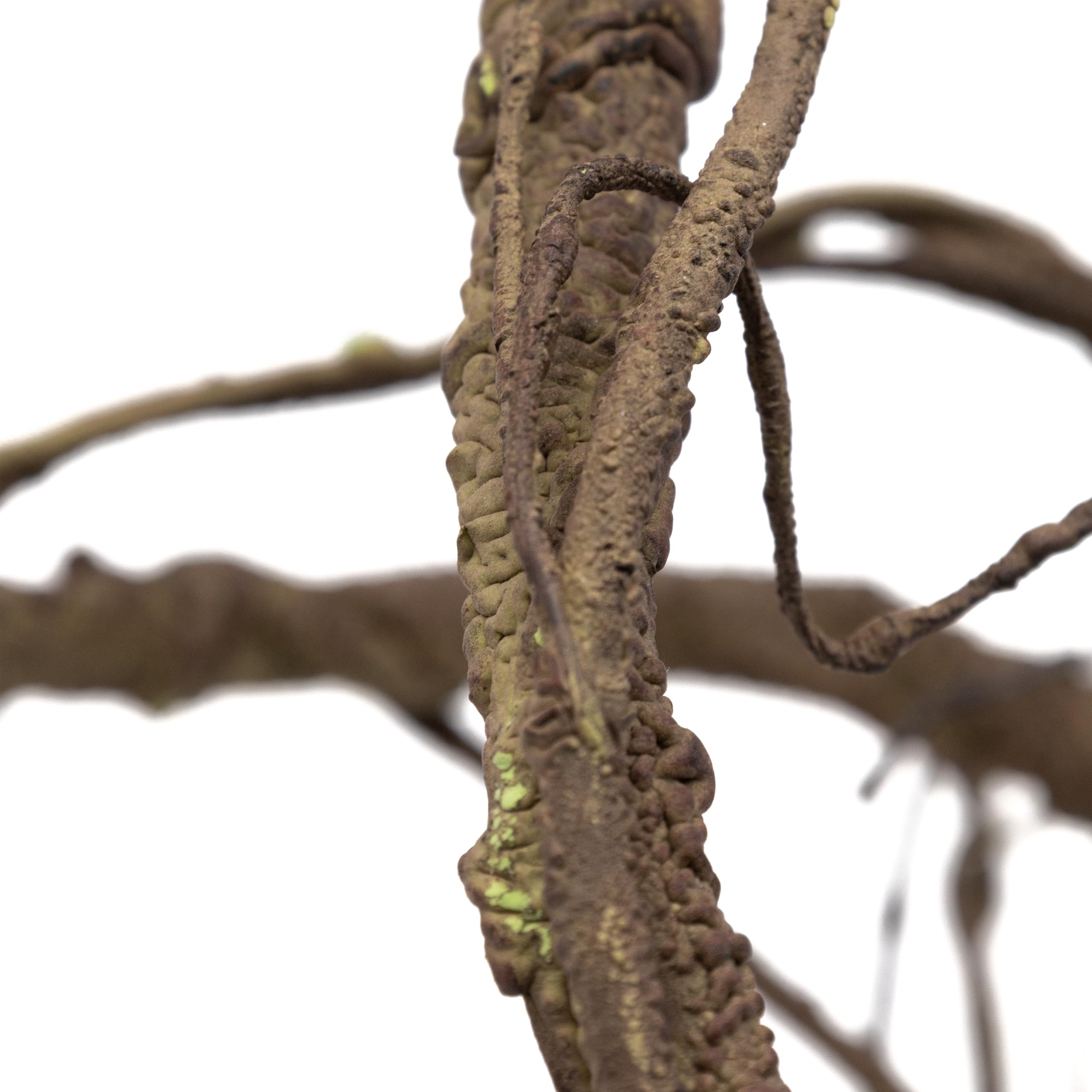 Pangea Reptile Ultimate Vine - Natural Brown Terrarium Climbing Branch for Lizards, Snakes & Frogs - Perfect for Jungle & Rainforest Habitat Decor