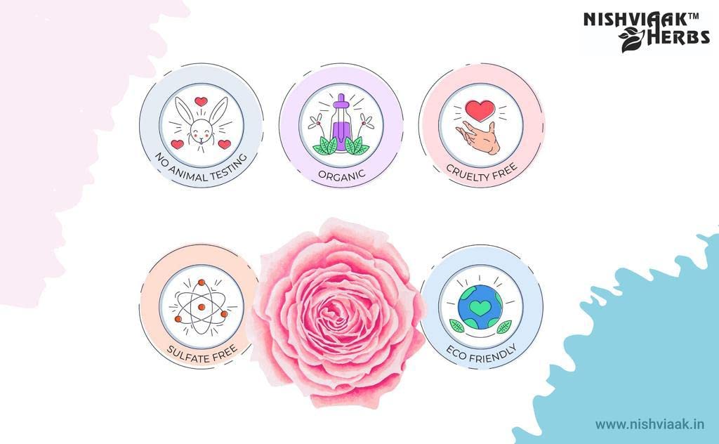 Nishviaak™ Herbs Paan Lip Balm - Natural Moisturizing Lip Care with Ayurvedic Ingredients for Soft, Smooth Lips - Perfect for Dry Lips, Chapped Lips, and Daily Lip Protection