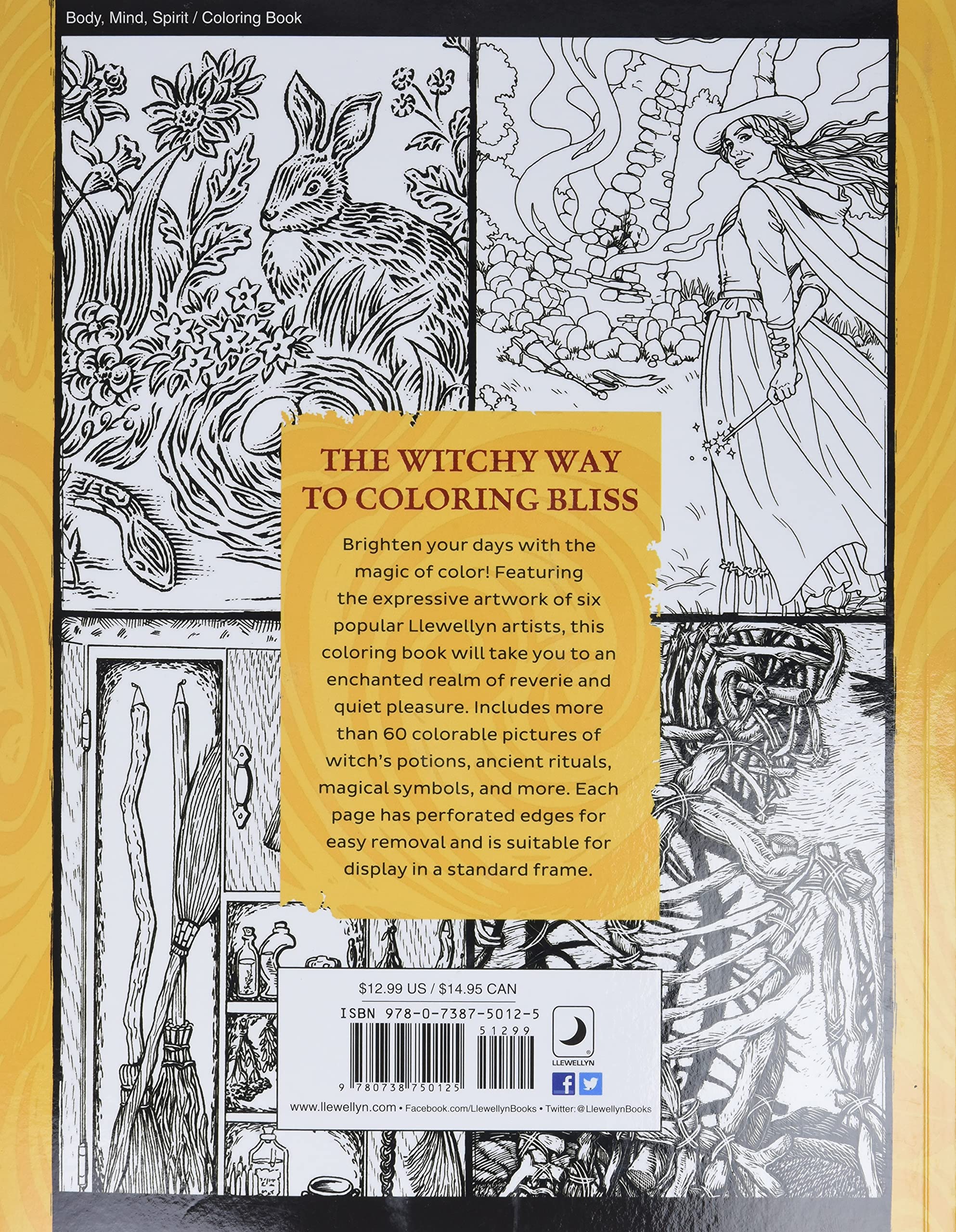 Llewellyn's Witch's Coloring Book for Adults - Magical & Relaxing Pagan Art Designs | Perfect for Wicca, Meditation & Stress Relief