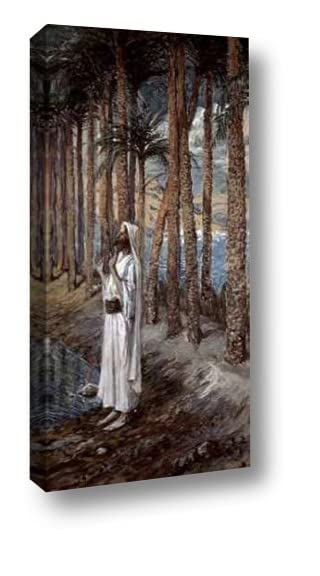 James Tissot Palm Tree Canvas Art Print - 14x30 Inch Gallery Wrapped Wall Decor - Ready to Hang for Living Room, Bedroom & Office