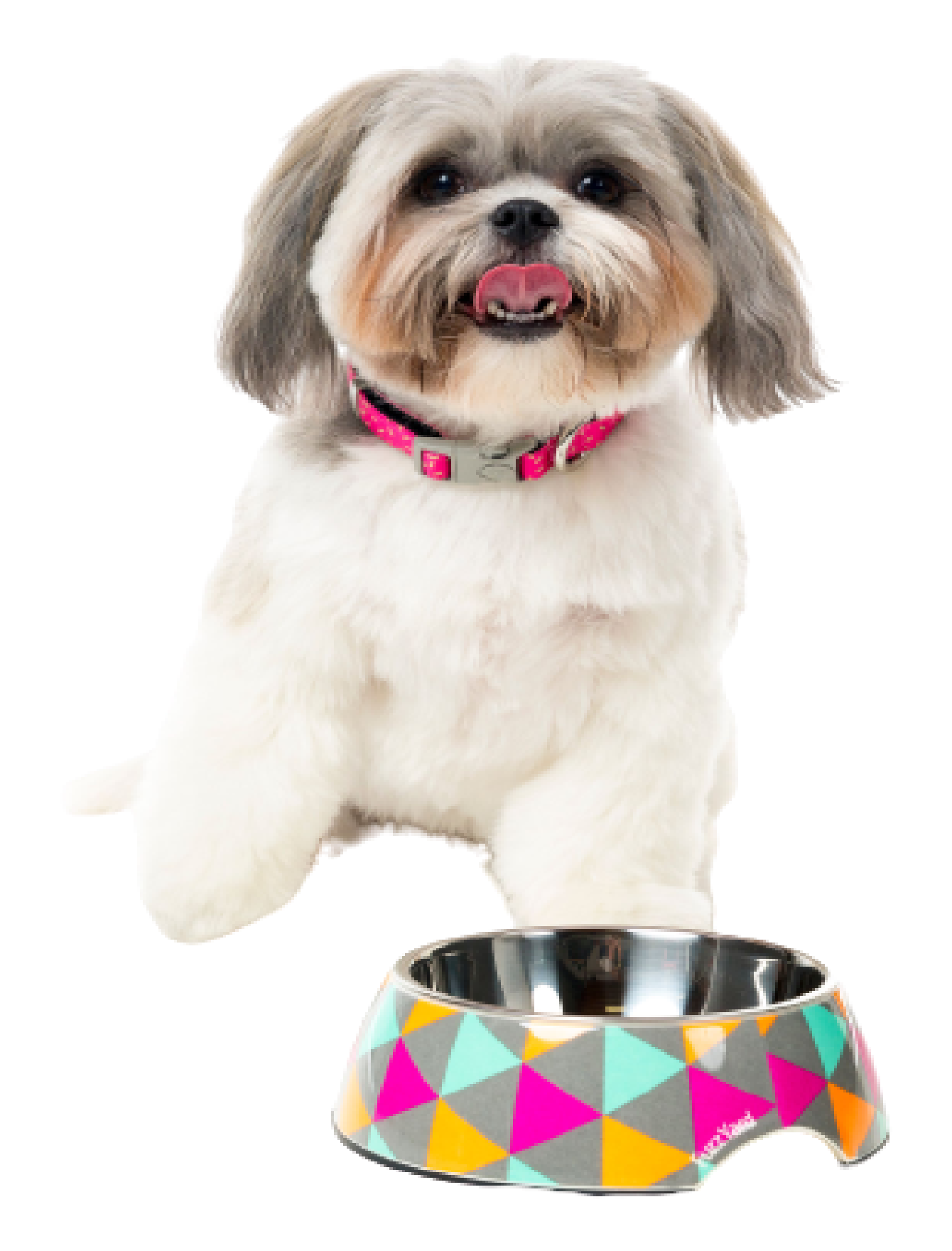 FuzzYard Easy Feeder Slow Eating Pet Bowl for Dogs & Cats - Anti-Choking Design with Non-Slip Base (3 Sizes: Small, Medium, Large) - Perfect for Fast Eaters, Mealtime Training, and Portion Control