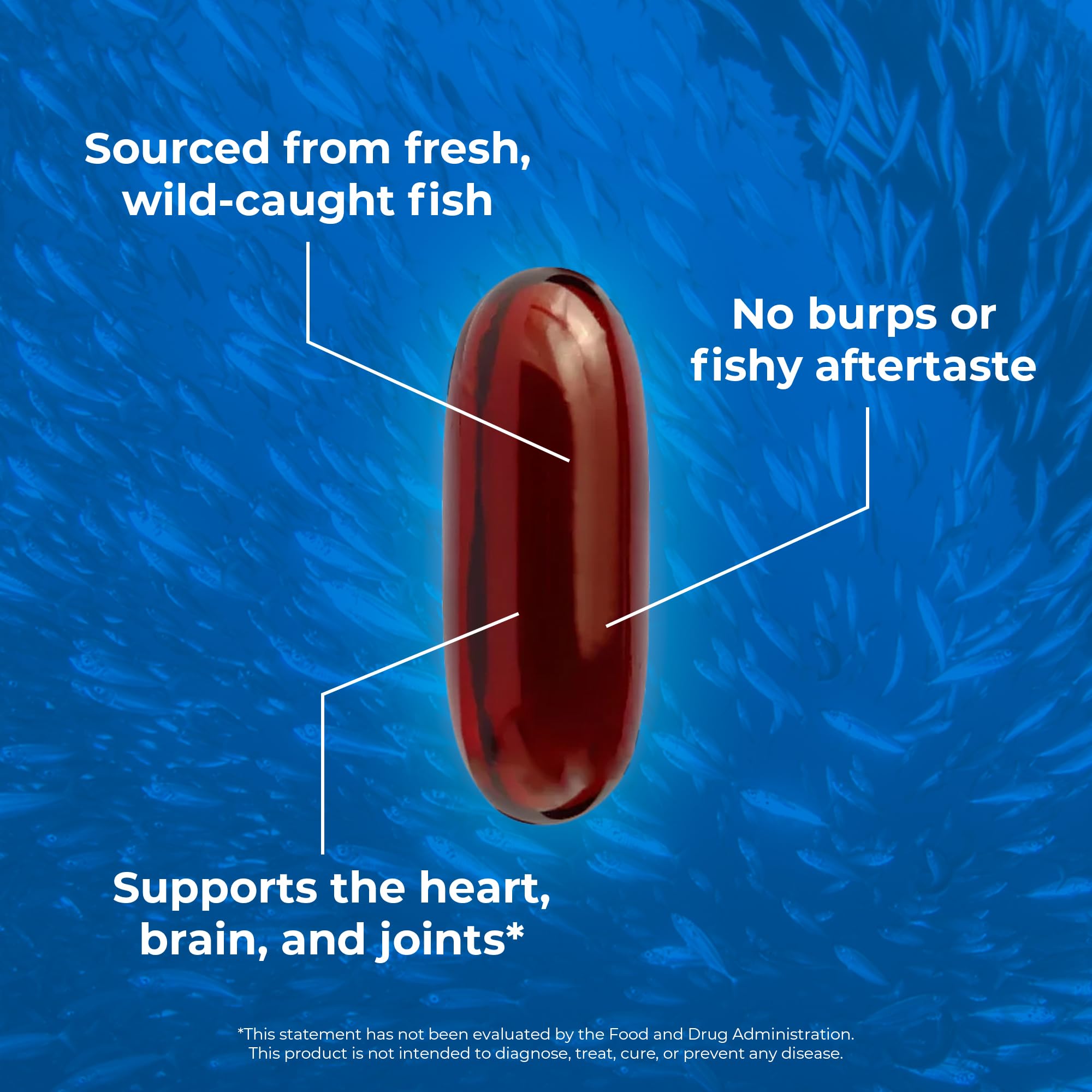 Premium Omega 3 Fish Oil Supplements - 120 Softgels (5 Bottles) - High EPA & DHA for Heart, Brain & Joint Health - IFOS Certified, Burpless Formula - Supports Cognitive Function & Cardiovascular Wellness - Ideal for Daily Wellness Routine & Active Lifestyle