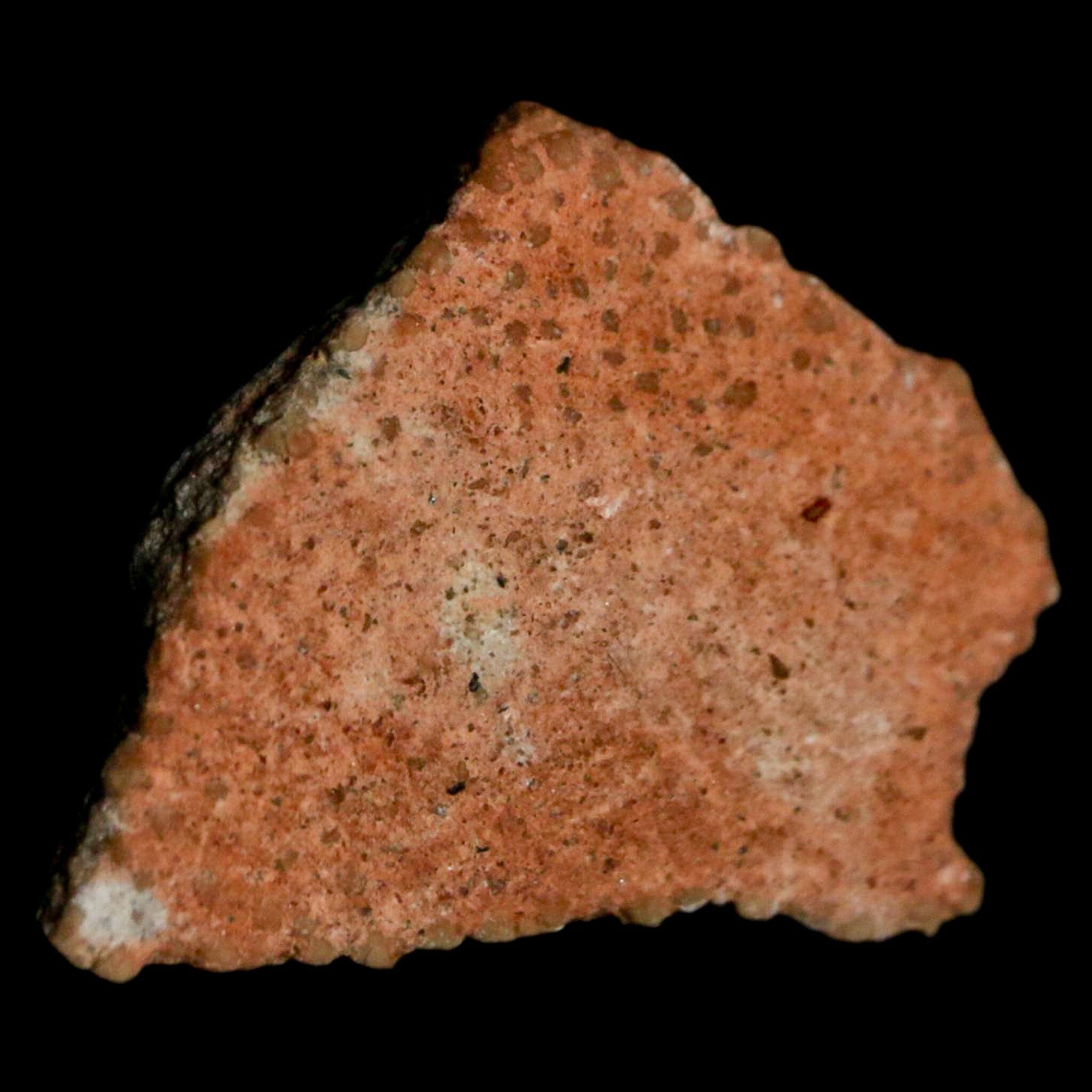 Authentic 0.7 Megaloolithus Titanosaur Dinosaur Fossil Egg Shell from Bouches-du-Rhône, France - Rare Collector's Item for Museum Display & Paleontology Enthusiasts - Perfect for Educational Exhibits, Home Decor, and Fossil Collections