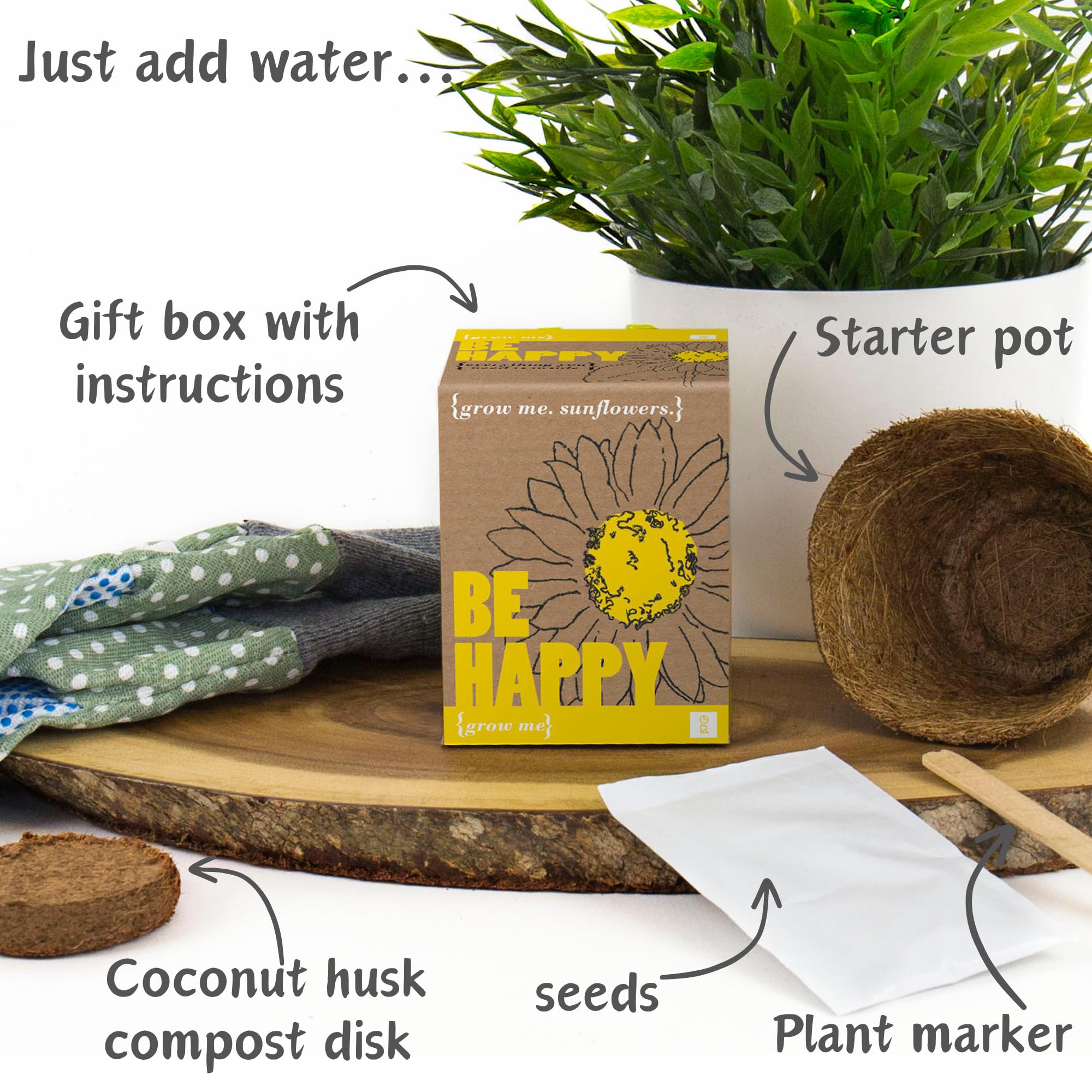 Gift Republic Grow Me Be Happy Gift Box - Unique Plant Growing Kit for Indoor Gardening, Perfect Gift for Plant Lovers, Birthday & Housewarming Presents - Enjoy Home Gardening & Relaxation