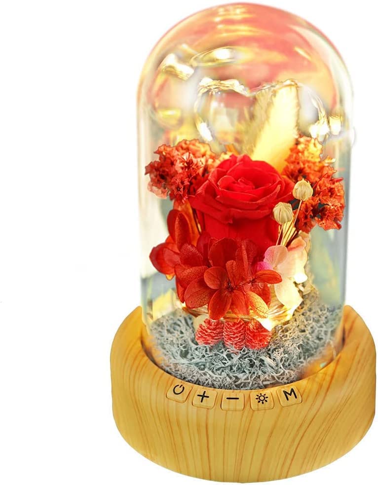 Red Rose Lamp