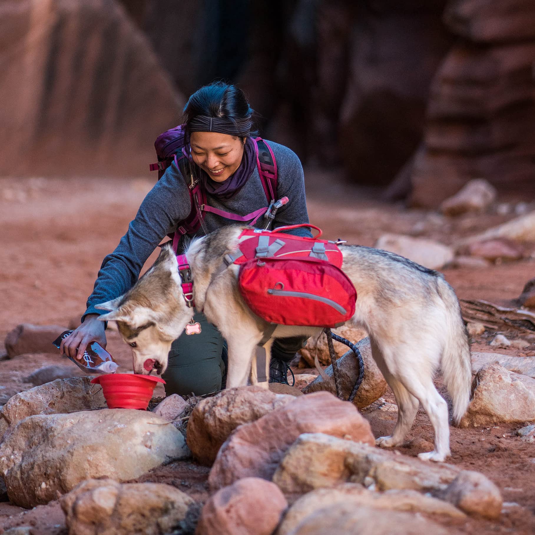Kurgo Dog Saddlebag Backpack - Adjustable Hiking Pack for Medium & Large Dogs | Lightweight Pet Travel Vest Harness with Reflective Strips | Perfect for Camping, Hiking & Outdoor Adventures