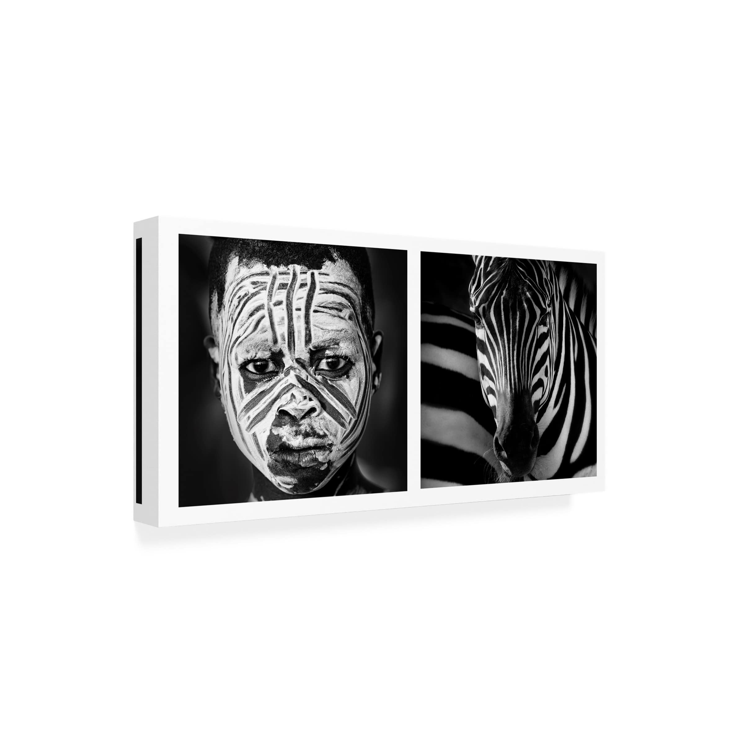 Jose Beut 'Mimetic' Canvas Art Print - Modern Wall Decor for Living Room, Bedroom & Office - Trademark Fine Art Collection