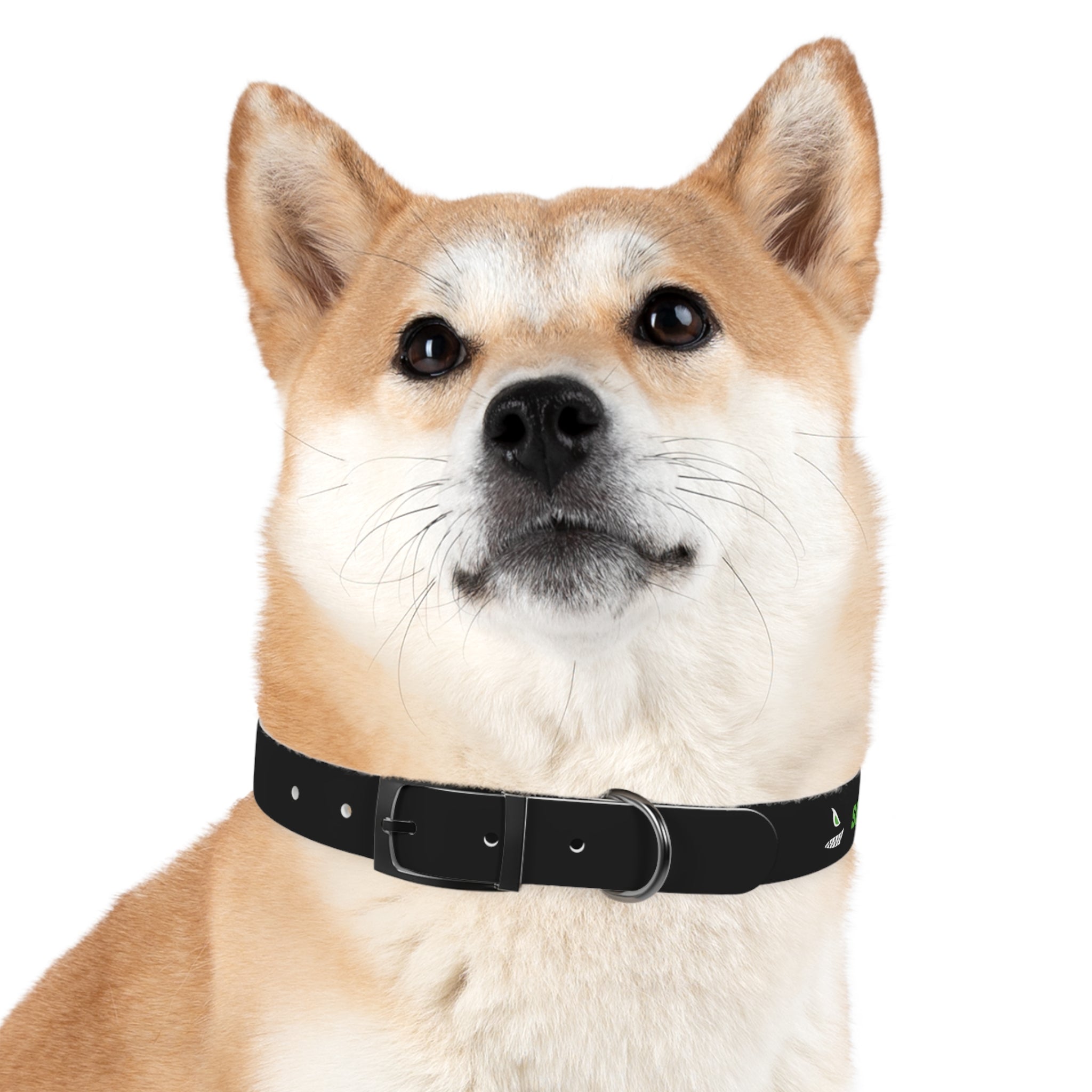 Premium Seawolves Dog Collar - Durable Nylon Pet Collar with Adjustable Buckle for Small Medium Large Dogs - Perfect for Walking, Training & Outdoor Adventures