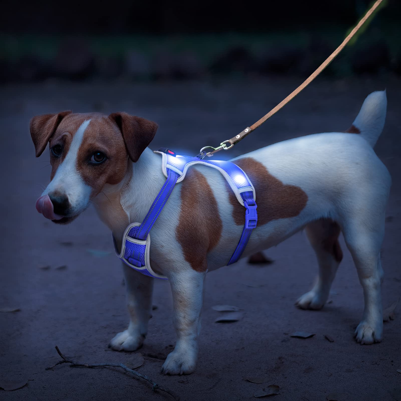 Rechargeable LED Dog Harness with Adjustable Reflective Vest - Glow in The Dark Safety Light for Night Walking (Blue, Large) - Perfect for Evening Jogs, Camping & Outdoor Adventures