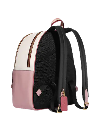 Coach Court Backpack with Stripe Heart Motif - Stylish Women's Leather Backpack for Work, Travel & College | Trendy Designer Handbag for Everyday Use