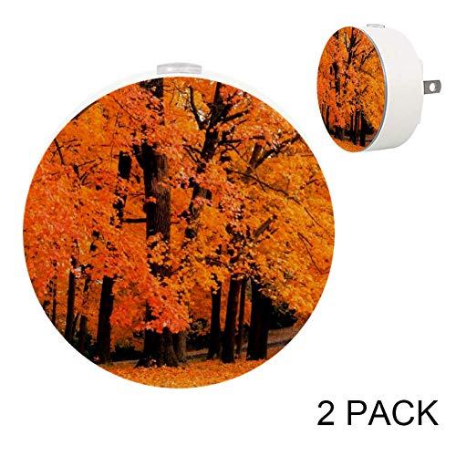 Fall Foliage LED Night Light with Motion Sensor - Auto On/Off for Bedroom, Hallway, Kitchen - Energy Efficient Plug-in Lamp (Pack of 2) - Perfect for Nighttime Safety and Ambient Lighting