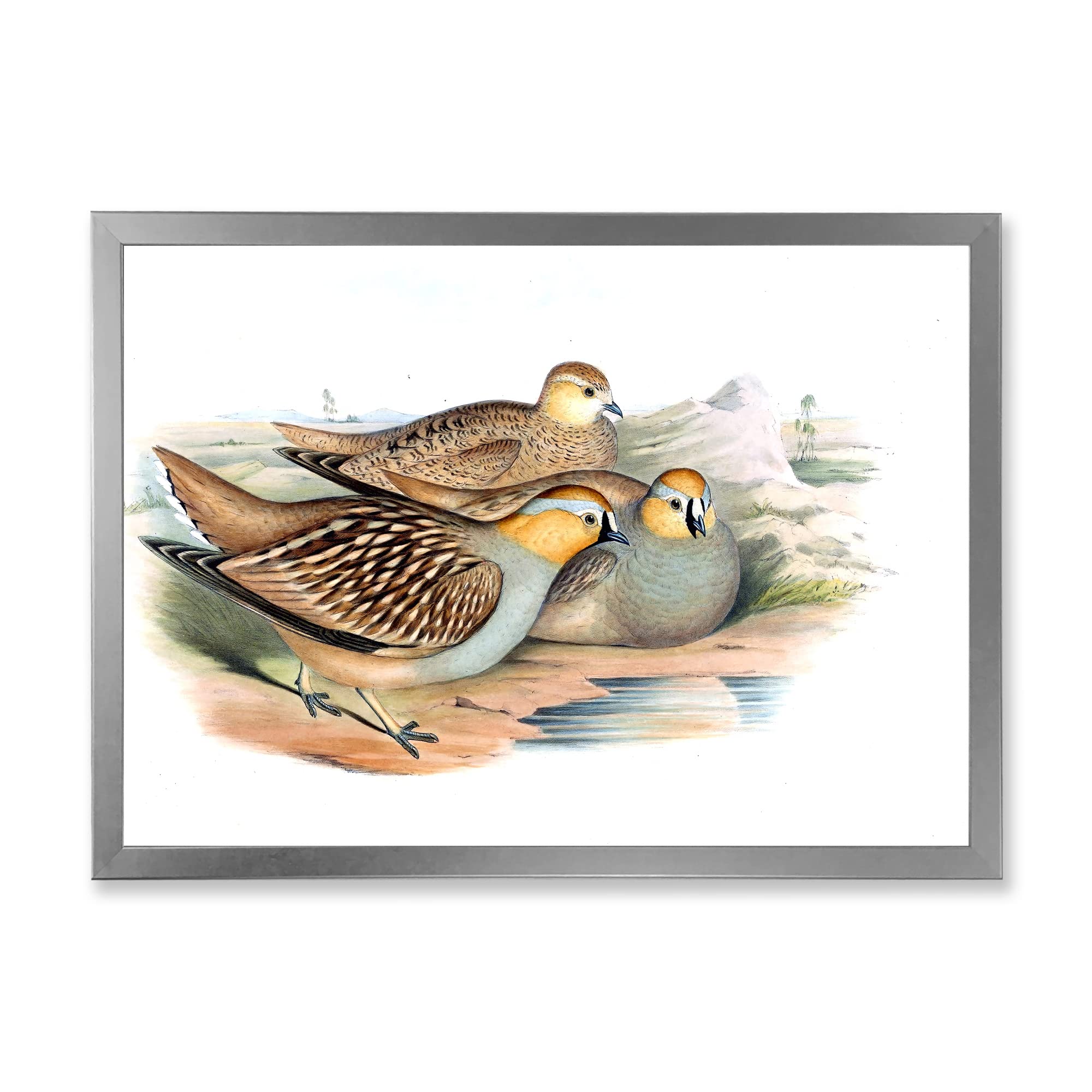 Vintage Birds In The Wild III - Traditional Framed Wall Art Decor for Living Room, Bedroom & Office - Nature Inspired Home Decor Gift Idea