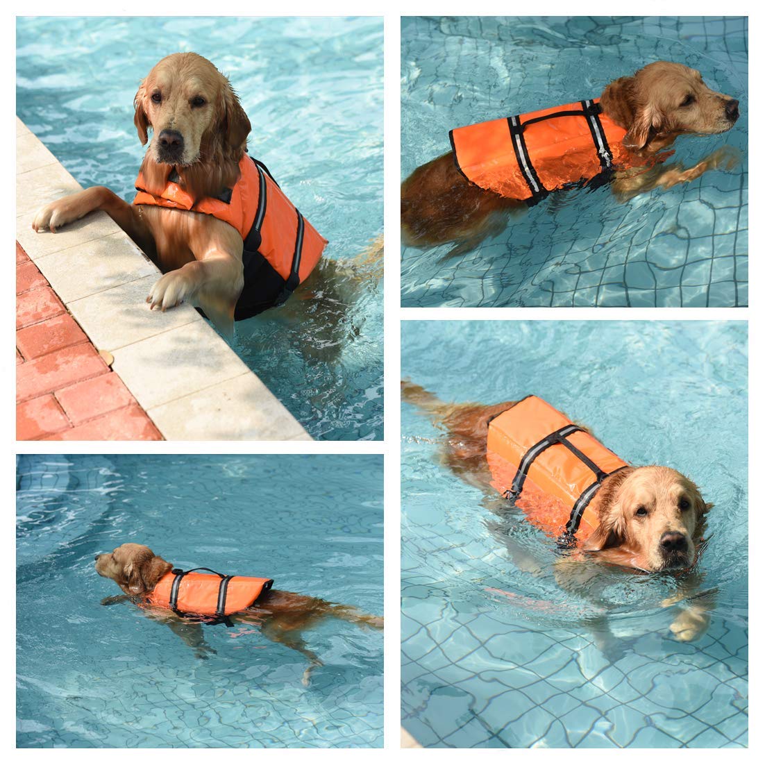 Doglay Dog Life Jacket - Adjustable Puppy Life Vest with Reflective Stripes for Swimming & Boating | Superior Buoyancy Safety Jacket for Small, Medium & Large Dogs | Perfect for Pool, Beach & Water Adventures