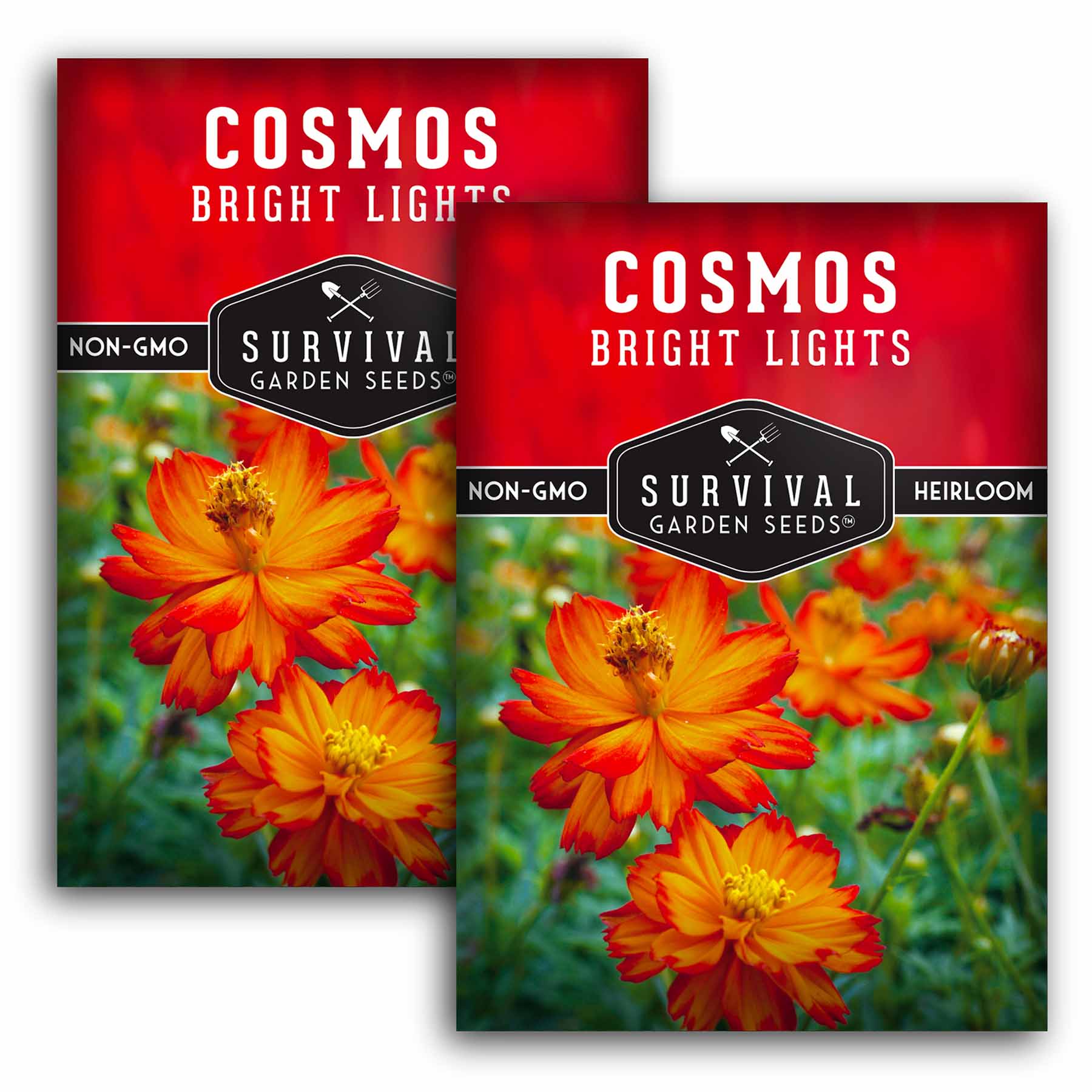 Bright Lights Cosmos Seeds - Easy to Grow, Vibrant Color Flowers for Garden, Bouquets & Landscaping | Perfect for Home Gardens, Wedding Decor & Pollinator Gardens