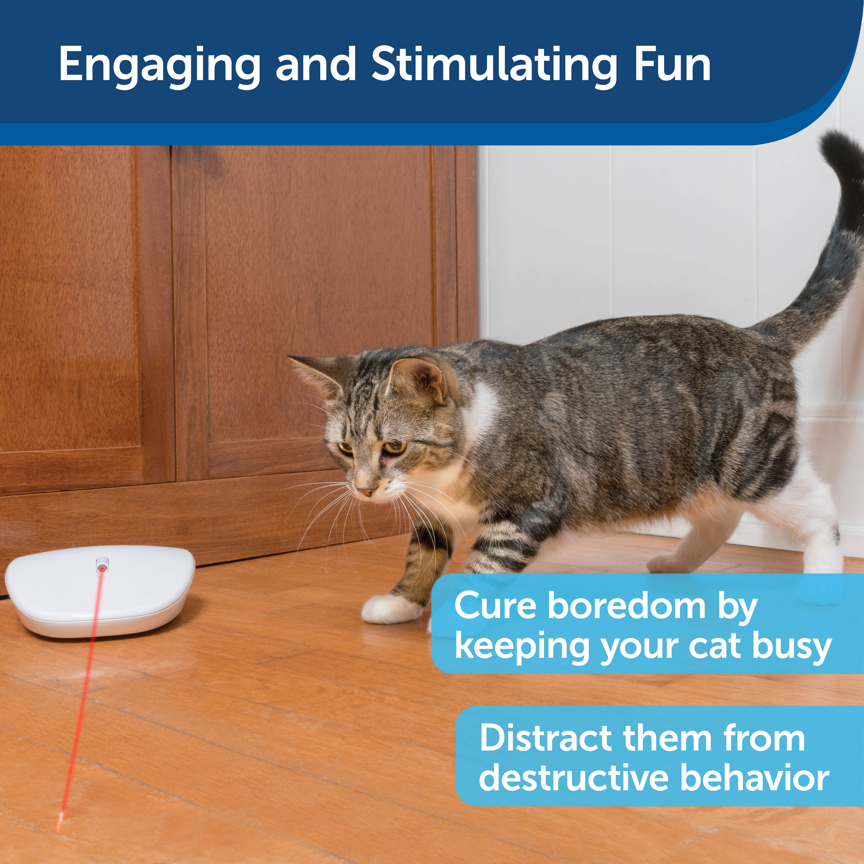 Automatic Laser Cat Toy with Random Movements - Interactive Pet Toy for Cats by PetSafe® | Fun Exercise & Playtime for Indoor Cats