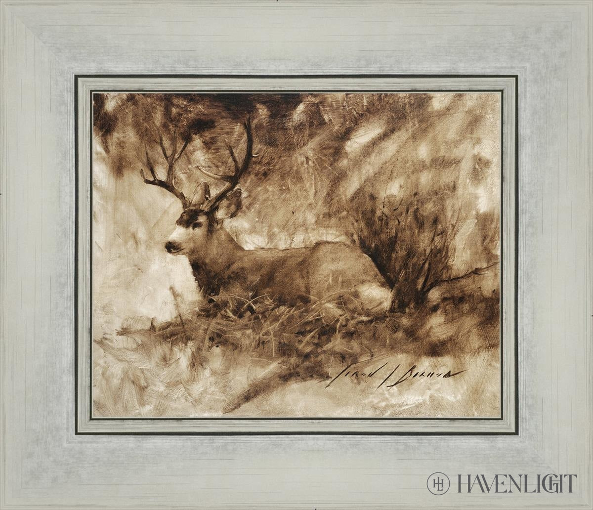 Bedded Buck By Jared Barnes - Premium Hunting & Outdoor Gear for Camping, Hiking & Adventure Enthusiasts