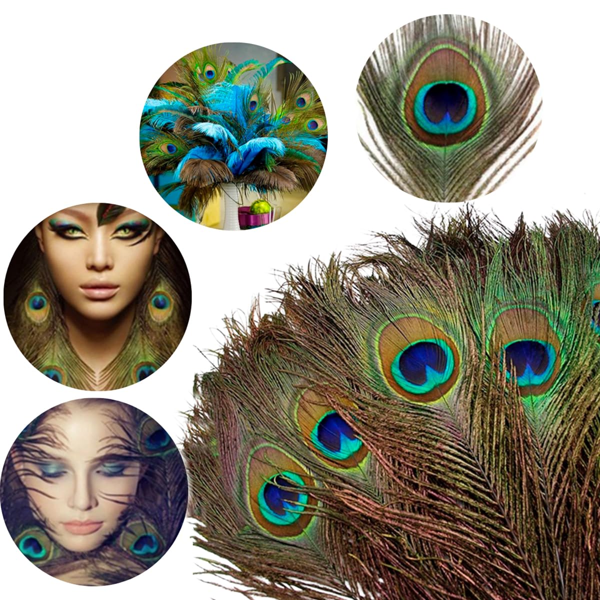 10 Pcs Natural Peacock Feathers with Eyes - Long Tail Feathers for DIY Crafts, Home Decor, Wedding Centerpieces & Bohemian Room Decoration