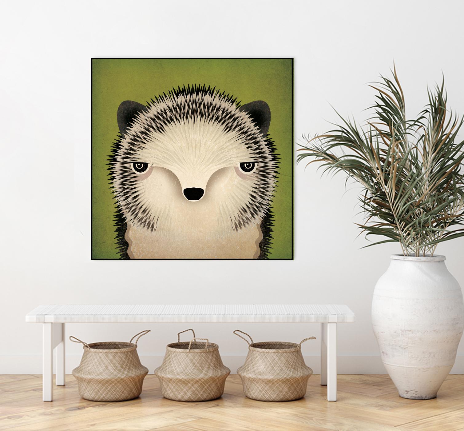 Adorable Baby Hedgehog Pet - Live Hedgehog for Sale | Perfect for Exotic Pet Lovers & Small Animal Enthusiasts | Great for Home Companionship & Educational Pets