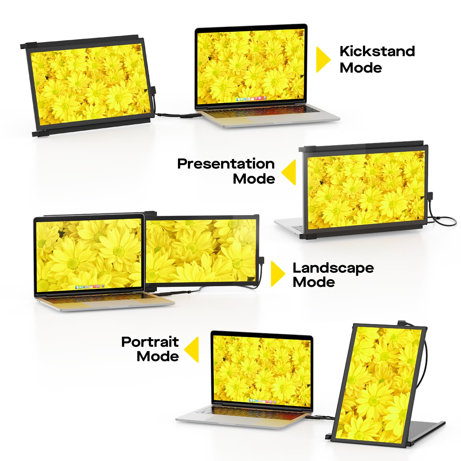 Duex Plus DS Portable Monitor - 13.3