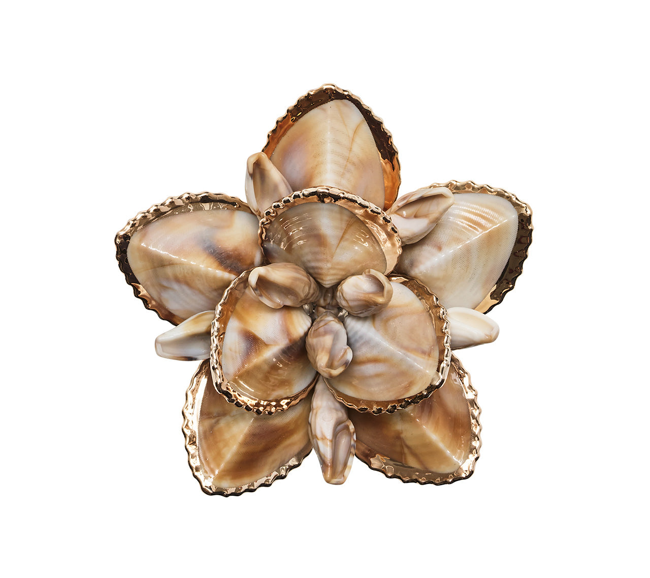 Natural Beachcomber Napkin Rings Set of 4 - Elegant Tableware for Beach Weddings, Coastal Dining & Summer Entertaining - Gift Box Included