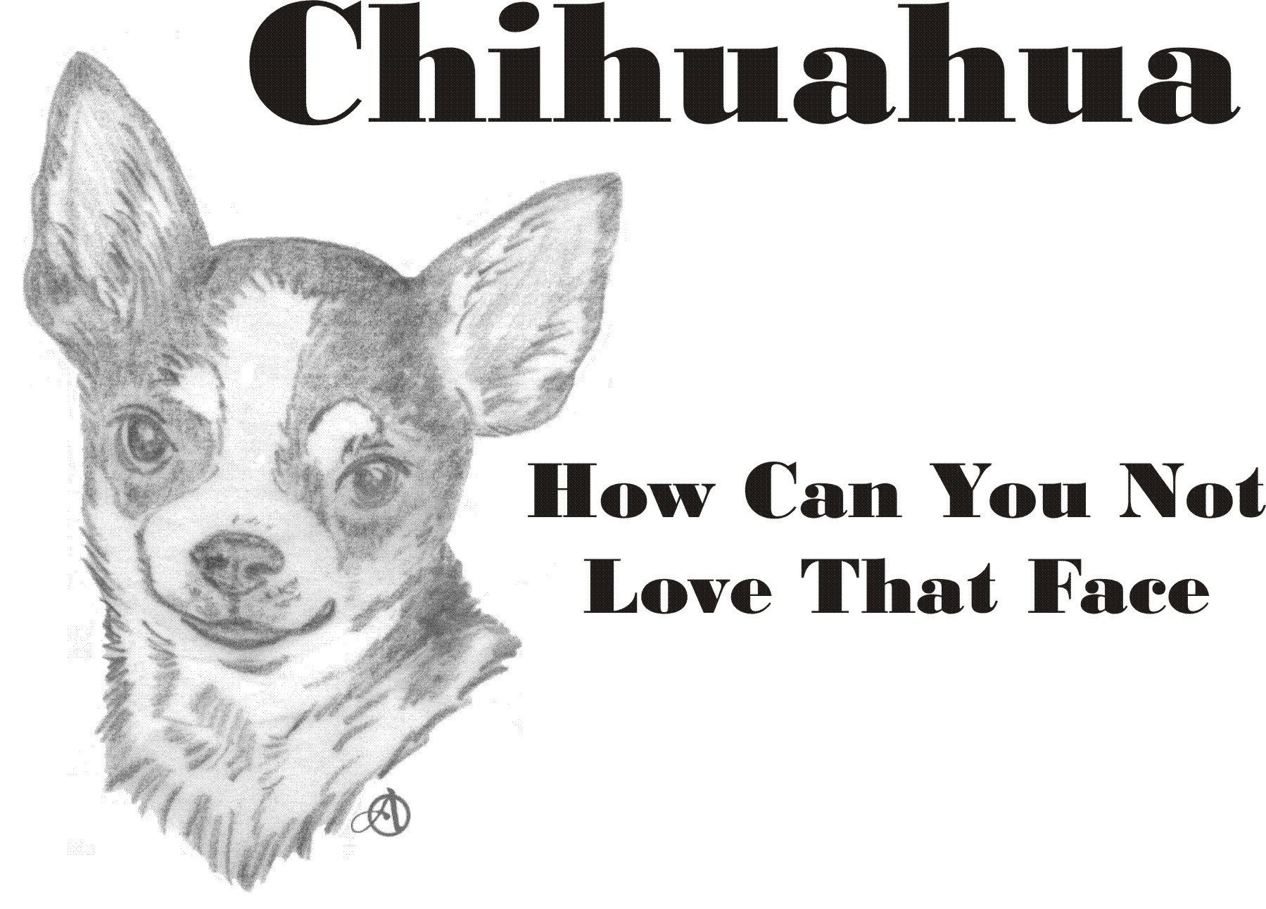 Cahoon's Closet Chihuahua Face Brand T-Shirt - Funny Dog Lover Tee for Casual Wear & Gifts