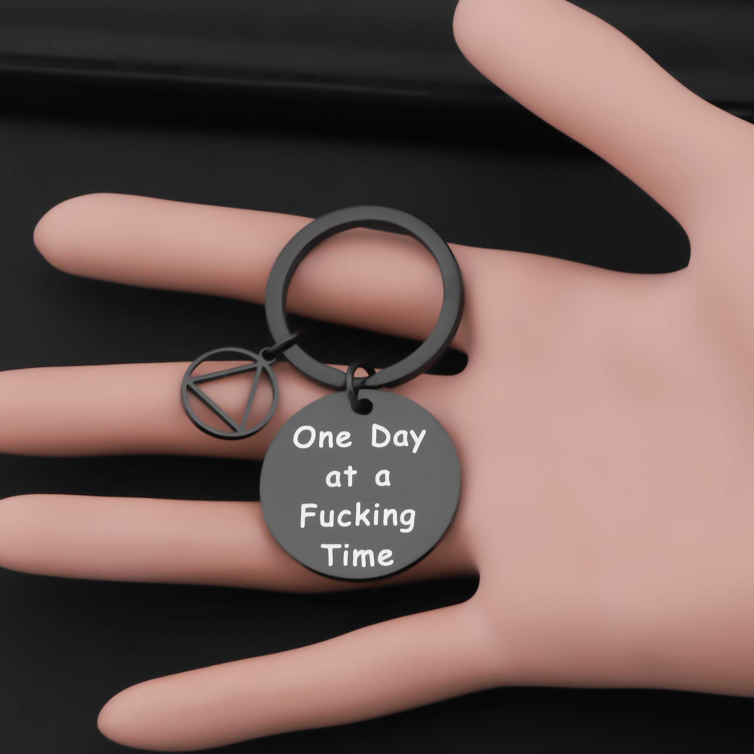 Birdgot Addiction Recovery Gifts for AA & Sobriety Milestones - 1 Year & 2 Years Sober Celebration Present - Inspirational One Day at a Time Token for Alcoholics Anonymous Support Groups & Personal Motivation