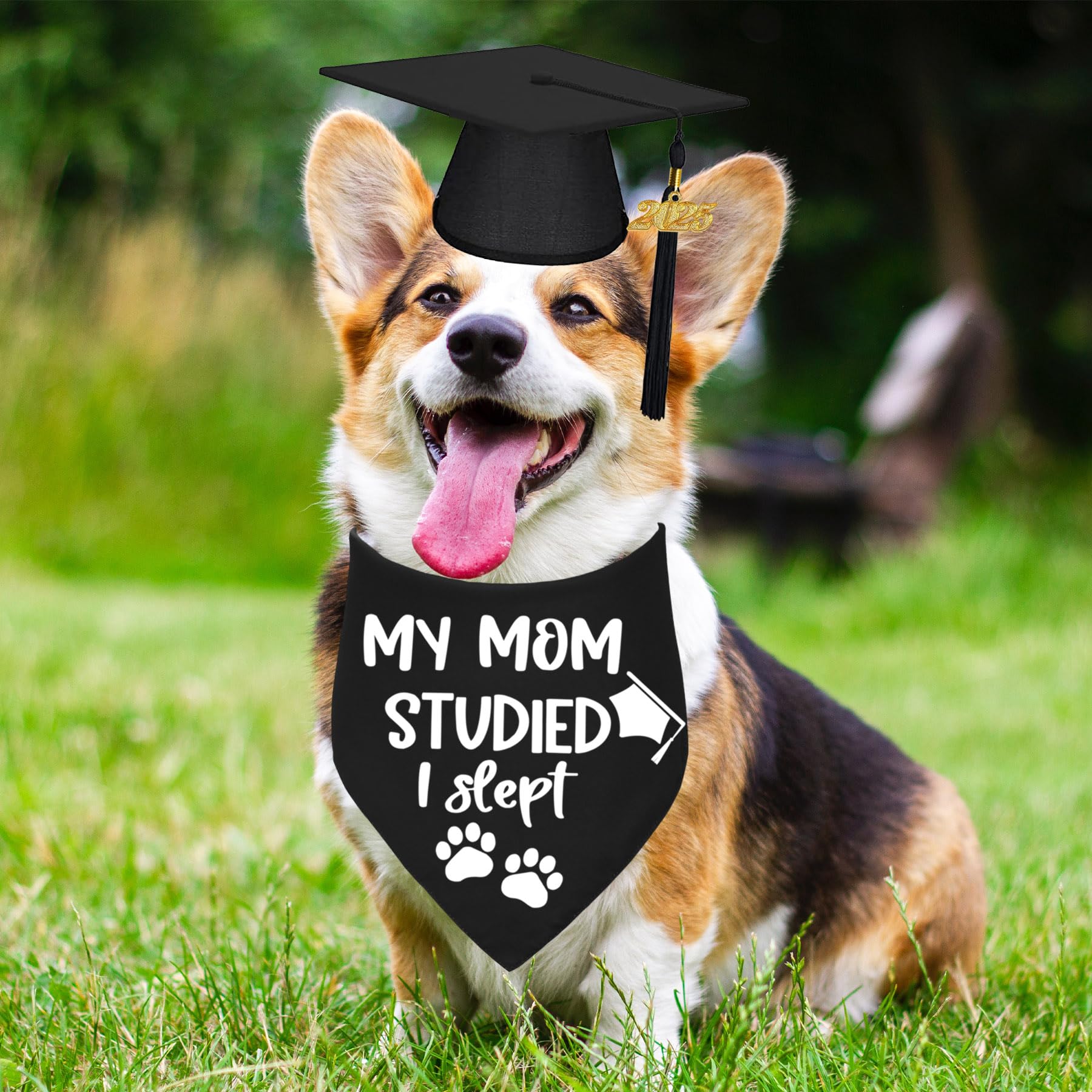 2025 Dog Graduation Cap & Bandana Set - Adjustable Pet Graduation Outfit with Tassel for Small, Medium & Large Dogs - Perfect Gift for Dog Graduation Ceremonies (Black, Cap & 'My Mom Studied I Slept' Bandana) - Great for Graduation Photos, Pawty Celebrations & Social Media Posts