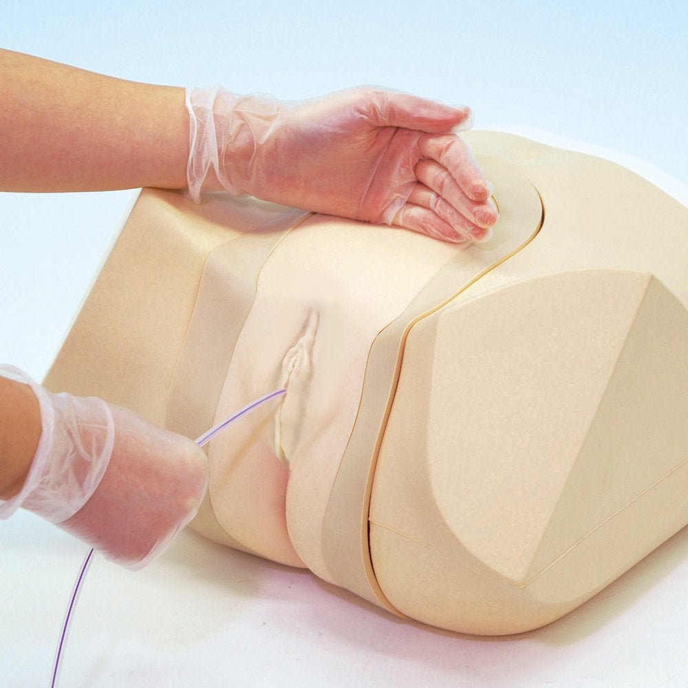 Female Catheterization & Enema Training Simulator - Medical Practice Model for Nursing Students & Healthcare Professionals - Perfect for Clinical Skills Training & Patient Care Education