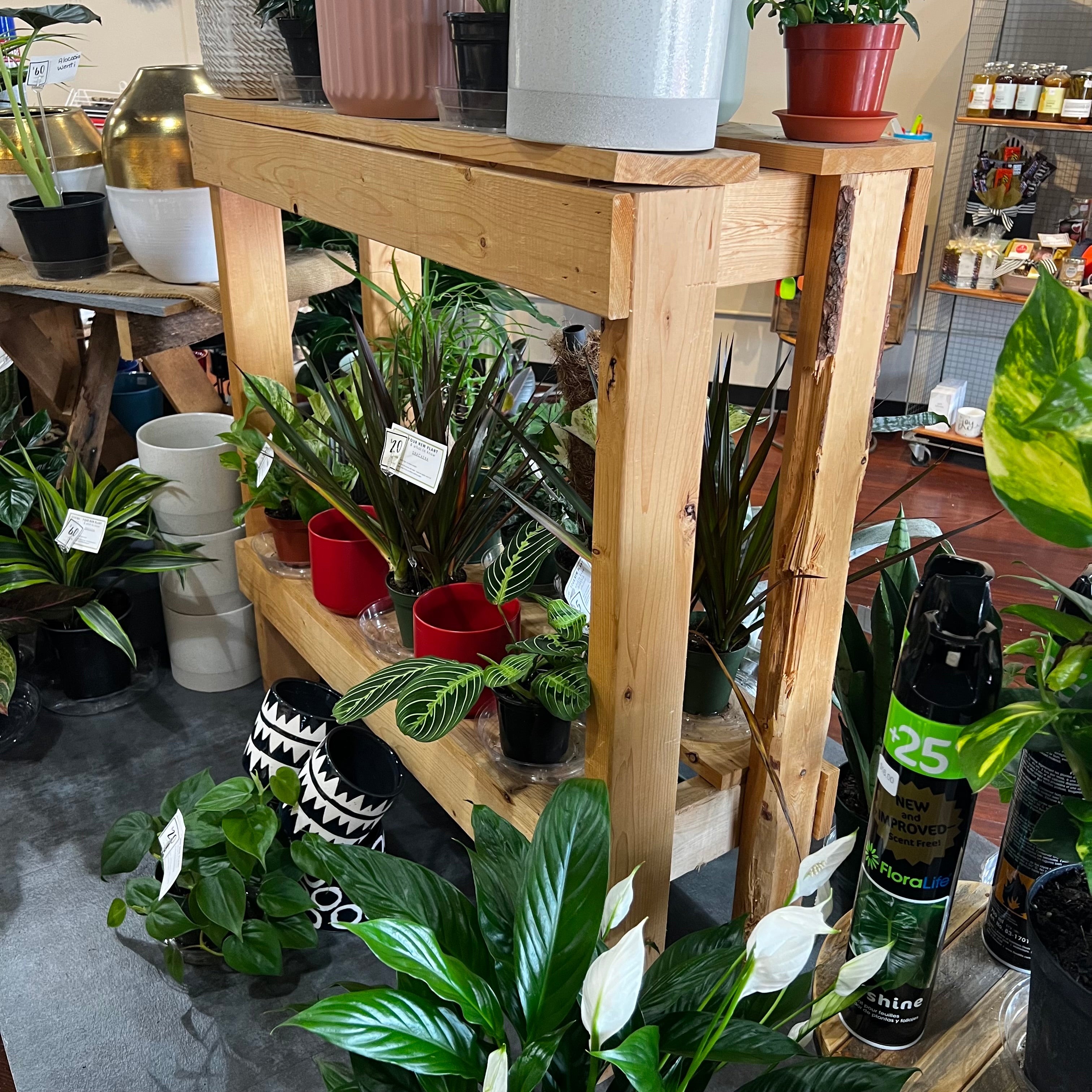 2 Tier Handmade Wood Shelf - Rustic Floating Shelves for Living Room, Bedroom & Bathroom Decor - Perfect for Displaying Books, Plants & Photos