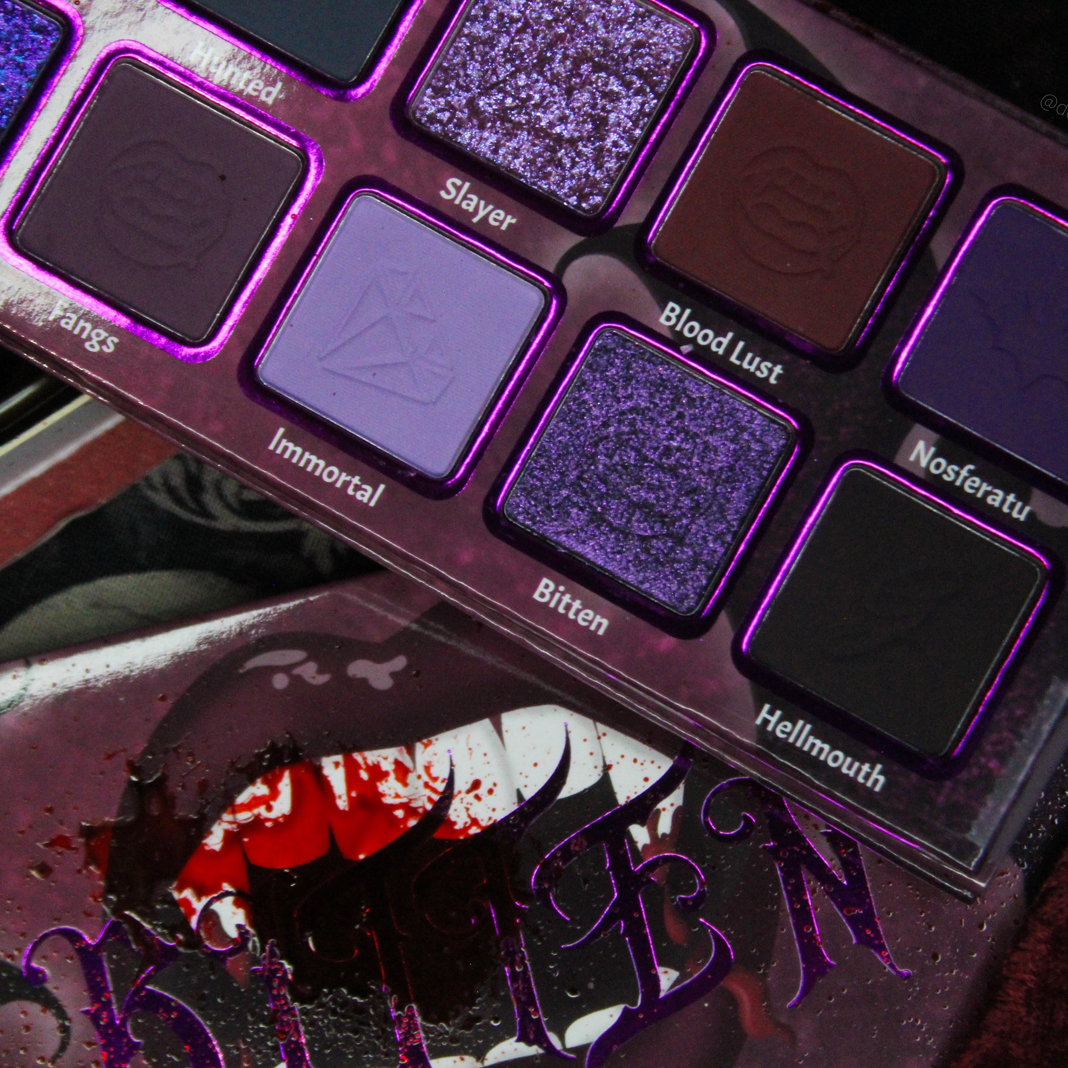 Bitten Eyeshadow Palette - 12 Highly Pigmented Matte & Shimmer Shades | Vegan & Cruelty-Free Makeup | Perfect for Day & Night Looks