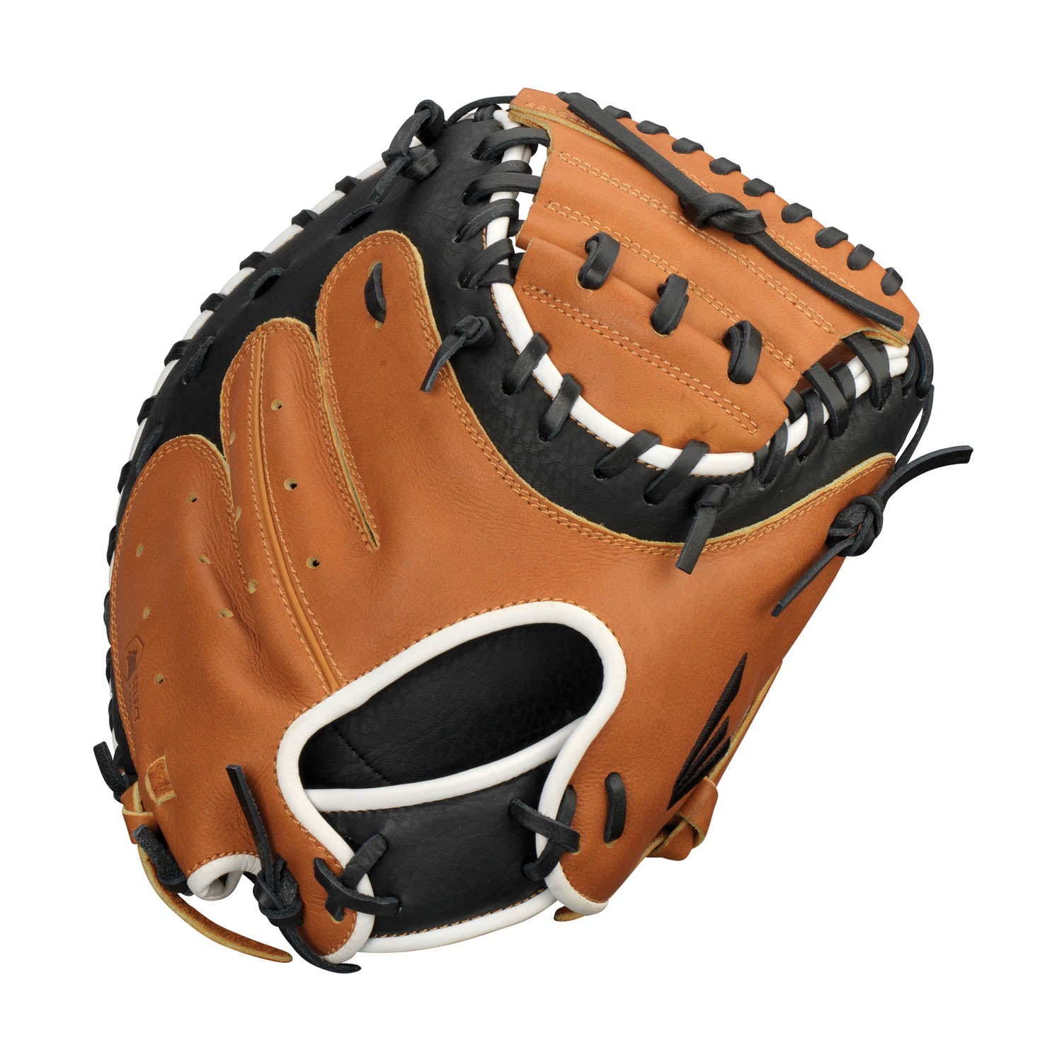 Easton Paragon Series Youth Catcher P2Y - Premium Baseball Catcher's Gear for Young Players | Perfect for Little League & Youth Baseball Practice