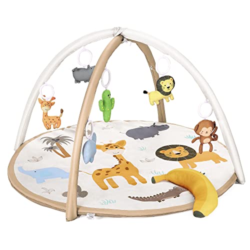 Forest Animals