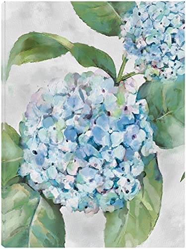 Hydrangea Portraits I