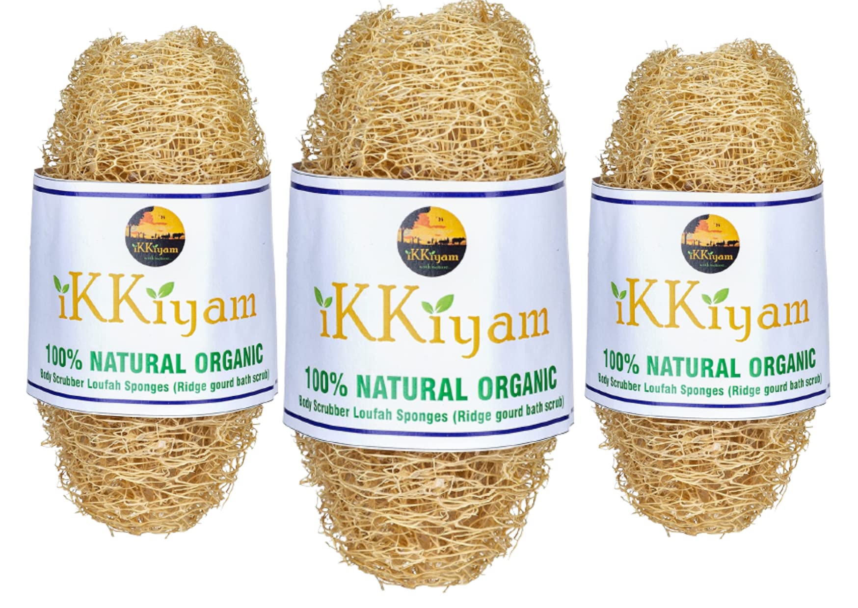 Ikkiyam Natural Loofah Ridge Gourd Bath Scrub | Soft & Gentle Exfoliating Body Scrubber | Biodegradable Eco-Friendly Sponge | Pack of 3 | Perfect for Shower, Bath & Spa Exfoliation