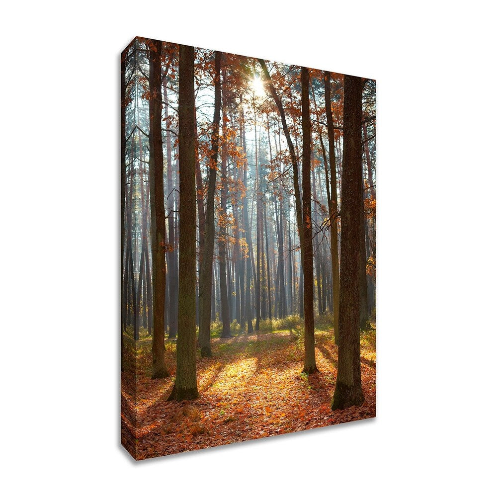 Autumn Forest Landscape Art - Premium Giclee Canvas Print on Gallery Wrap - Ready to Hang Wall Decor - Perfect for Living Room, Bedroom & Office