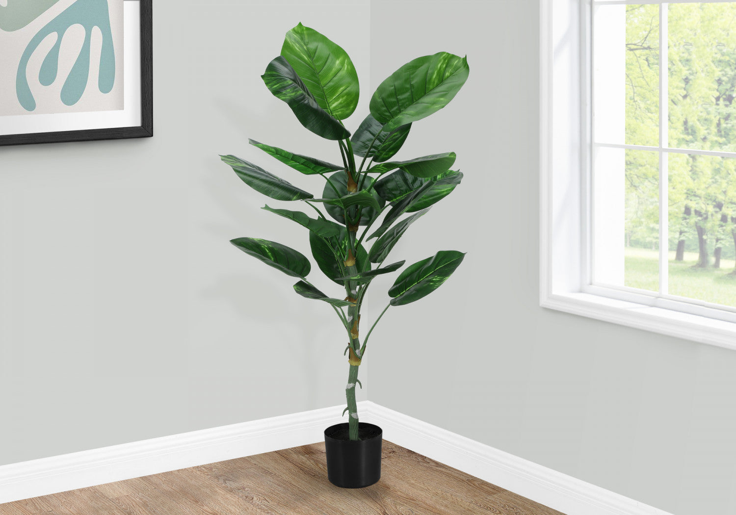 54 Inch Dieffenbachia Plant with 6 Inch Black Pot - Large Tropical Houseplant for Home, Office & Indoor Decor