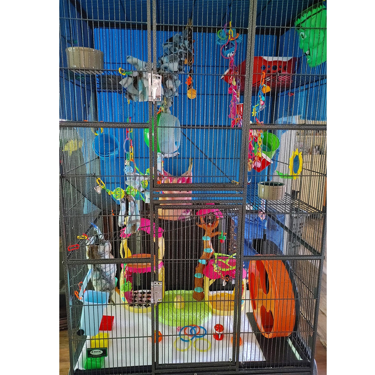 Premium Madagascar Cage & Starter Kit for Sugar Gliders - Complete Habitat Set with Accessories for Small Exotic Pets - Perfect for Home, Nursery, or Vet Clinic Use