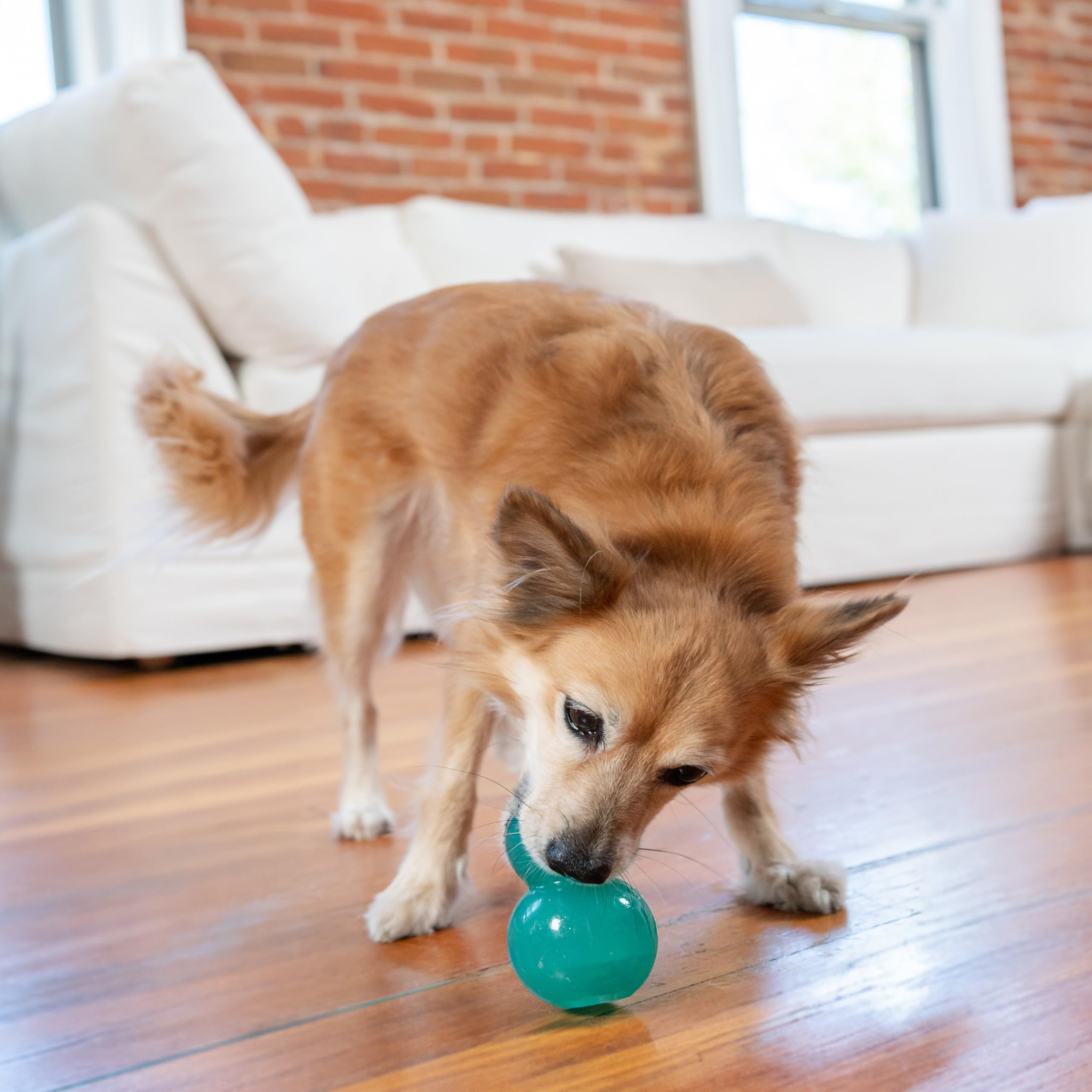 Outward Hound Durable Double-Tuff Interactive Treat Stuffer Dog Chew Toy - Medium Blue for Aggressive Chewers | Perfect for Training, Boredom Relief & Mental Stimulation