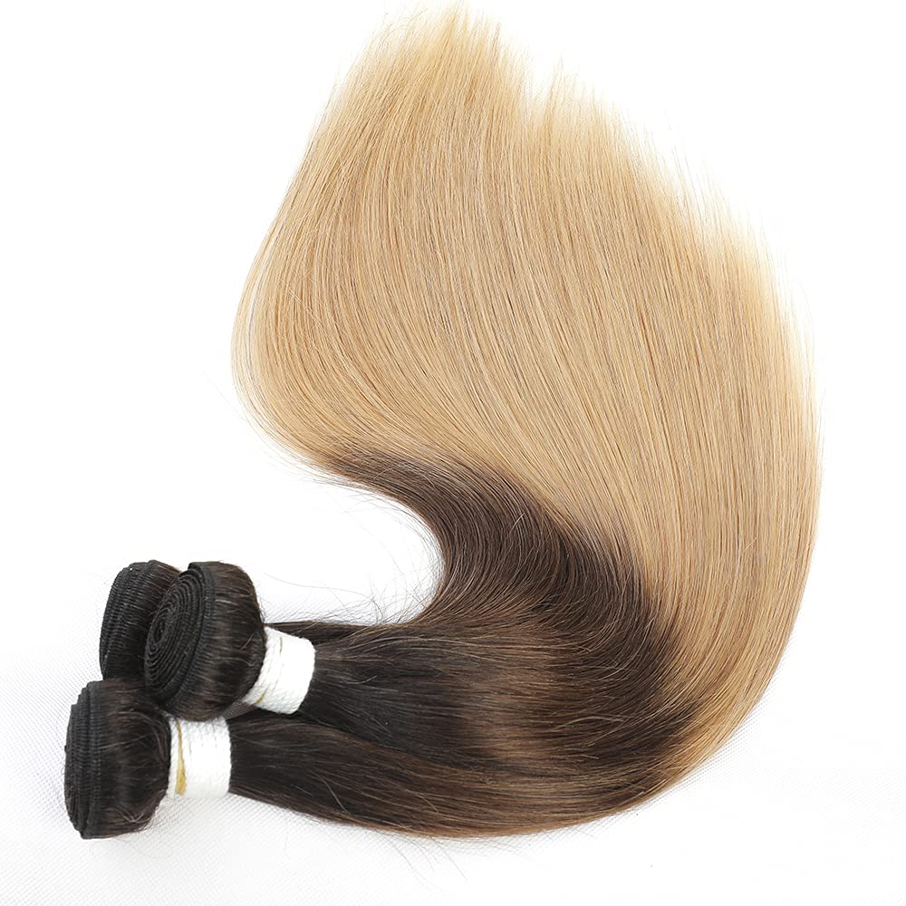 REMY Brazilian Virgin Human Hair Bundles 26