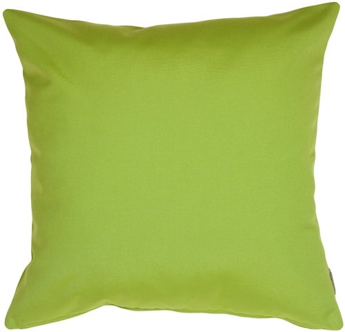 Sunbrella Outdoor Pillow Set of 2 - 20x20 Inch Waterproof Decorative Throw Pillows with Inserts, Macaw Green - Perfect for Patio Furniture, Poolside Lounging & Garden Decor
