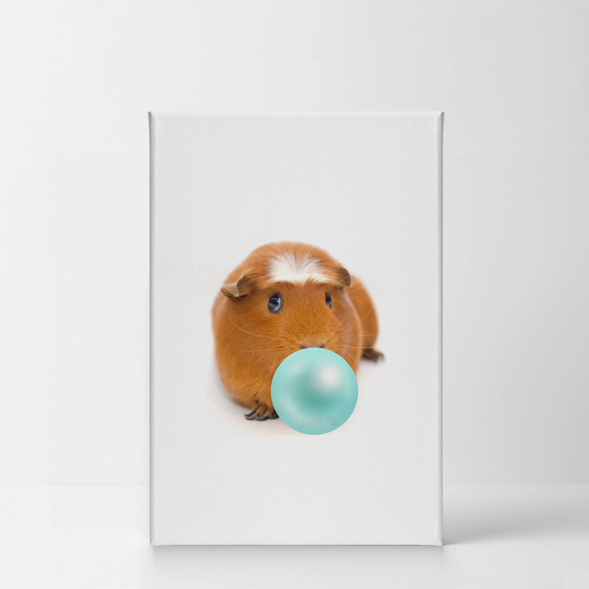 Fluffy Guinea Pig Chewing Bubble Gum Canvas Wall Art Print - 36x24 | Pet Lover Gift, Rodent Portrait, Animal Decor for Living Room, Bedroom & Nursery | Perfect for Guinea Pig Enthusiasts & Kids' Rooms