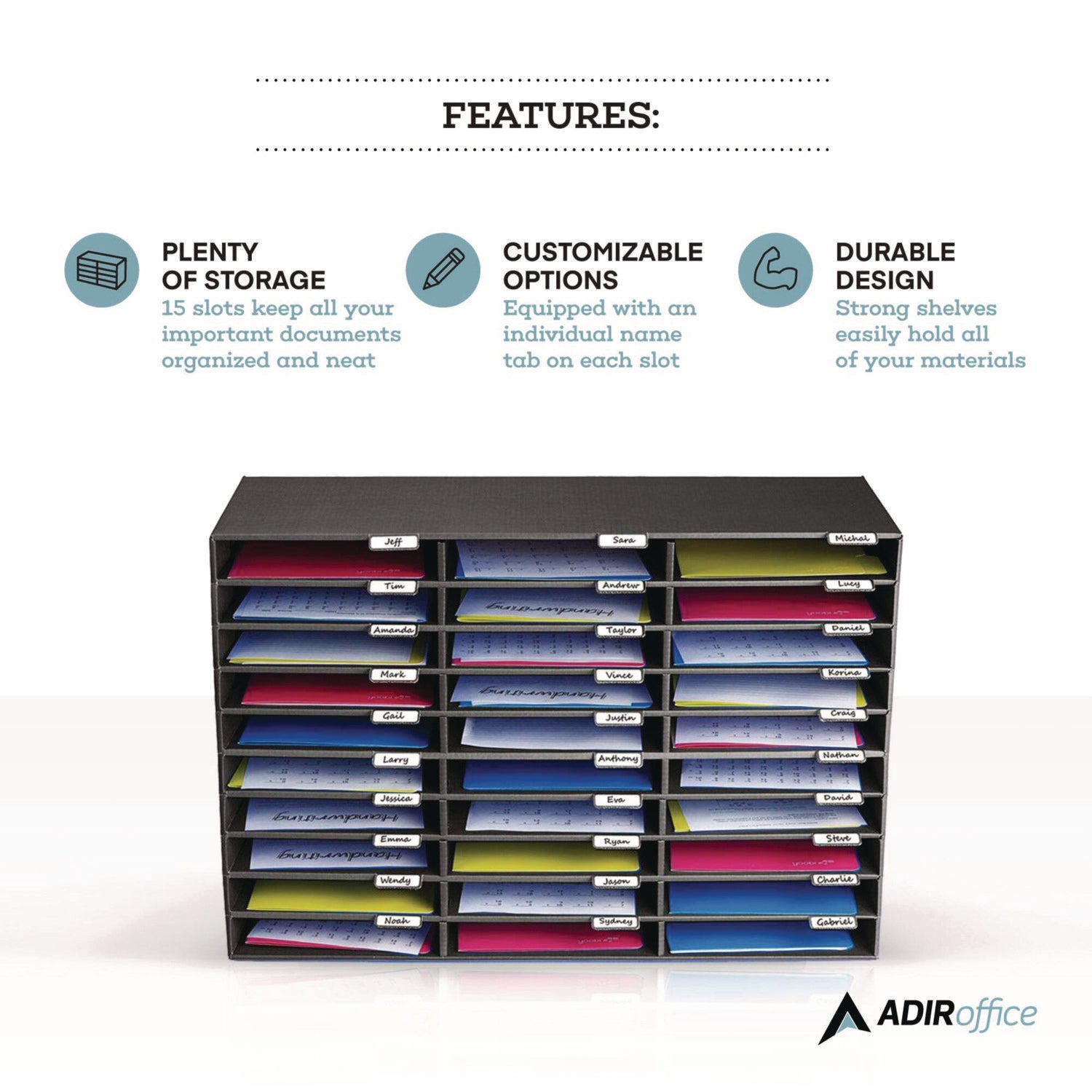 AdirOffice 30-Section Letter Size File Organizer - Black Literature Classroom Organizer (32
