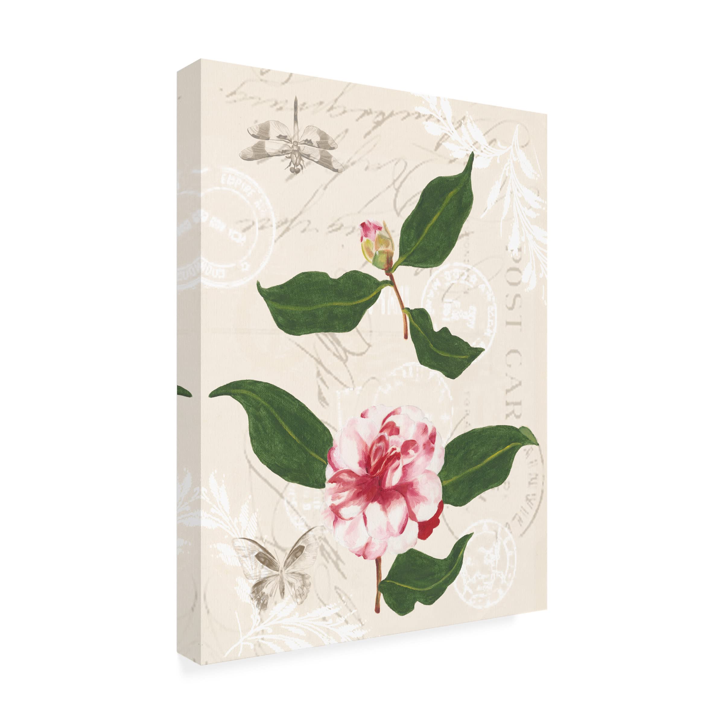 Trademark Fine Art 'Dianne's Camelias III' Floral Canvas Painting by Dianne Miller - Perfect for Living Room, Bedroom & Office Wall Decor